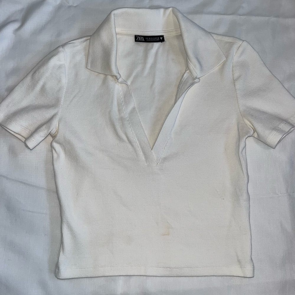 Zara crop top
